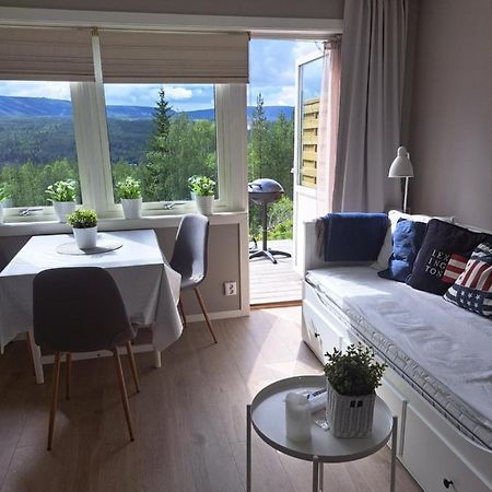 Apartmán Mysig Laegenhet Med Fjaellutsikt I Saelen Exteriér fotografie