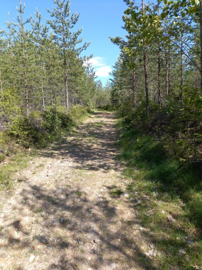 Apartmán Mysig Laegenhet Med Fjaellutsikt I Saelen Exteriér fotografie