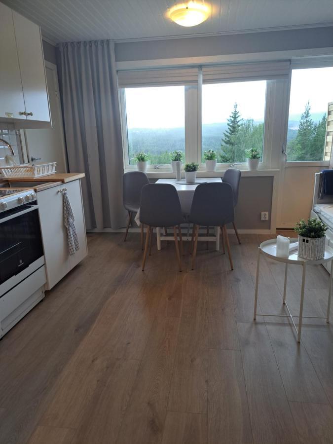 Apartmán Mysig Laegenhet Med Fjaellutsikt I Saelen Exteriér fotografie
