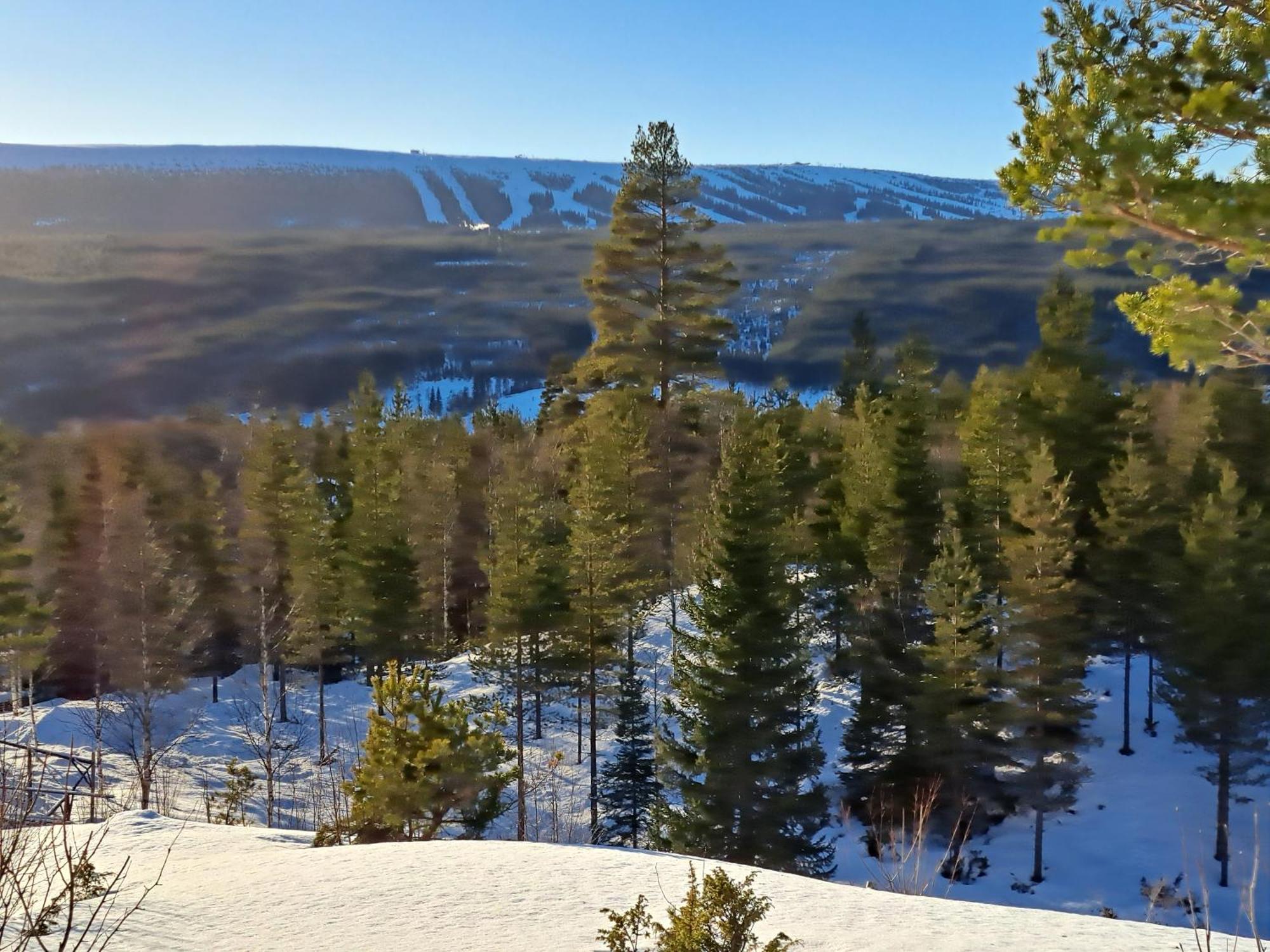 Apartmán Mysig Laegenhet Med Fjaellutsikt I Saelen Exteriér fotografie